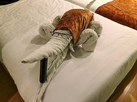 포토 JPG 해외이미지 동물 1 디자인 안경 여행 가구 쿠션 가족 베개 아프리카 호텔 아침 휴가 휴식 고글 실내 이집트 사람없음 내부 장식 빛 수건 숫자 놀람 침실 방 흰색 침대 잠 담요 서비스 질감 악어 공상 안락 해외포토 주간 문자 잡화 감정 나라 컬러 생활용품 컨셉 관계 침구 파충류 숙소 표정 위생용품 파일형식 이미지허브