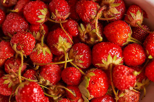 포토 JPG 해외이미지 라이프스타일 길 조각 잎 다이어트 재료 부분 딸기 건강 사람없음 빨간색 초록색 빛 쌓기 주스 활발 흰색 신선 그룹 닫기 맛 자르기 먹기 오브젝트 날것 슬라이스 흙더미 강렬 고립 숙성 완벽 채식주의자 해외포토 식물 음료 컬러 컨셉 과일 모션 생활 흙 채식 파일형식 더미 이미지허브