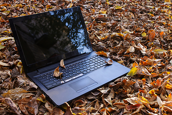 포토 JPG 해외이미지 계절 공원 지구 잎 인터넷 가정 열쇠 거리 사람없음 노트북 전자제품 컴퓨터 사무실 반사 노란색 환경 스크린 모니터 검은색 재활용 가전제품 쓰레기통 가을 키보드 업무 재산 폐기물 상품 플라스틱 버리기 먼지 낭비 구식 깨짐 마더보드 옛날 프로세서 해외포토 식물 공공시설 컬러 컨셉 비즈니스 모션 재질 금융 작업 쓰레기 친환경 파일형식 이미지허브