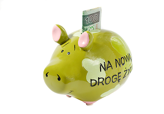 포토 JPG 해외이미지 지폐 돈 사람없음 초록색 상자 동전 쪽지 돼지 절약 묘사 광택 주둥이 계산서 페니 해외포토 컬러 컨셉 포유류 재산 파일형식 이미지허브