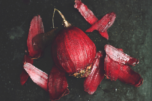 포토 JPG 해외이미지 식물 계절 음식 조각 백그라운드 잎 농업 다이어트 채소 재료 자연 탁자 건강 요리 사람없음 빨간색 초록색 여름 보라색 검은색 주스 샐러드 수확 가을 시골 신선 다발 먹기 유기농 날것 뿌리 내추럴 구성 바이오 비트 삶기 숙성 채식주의자 비건 해외포토 웰빙 산업 음료 컬러 가구 모션 생태계 채식 파일형식 이미지허브