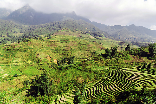 포토 JPG 해외이미지 주간 자연 산 풍경 사람없음 야외 시골 계단식논 해외포토 자연요소 논 생태계 파일형식 이미지허브