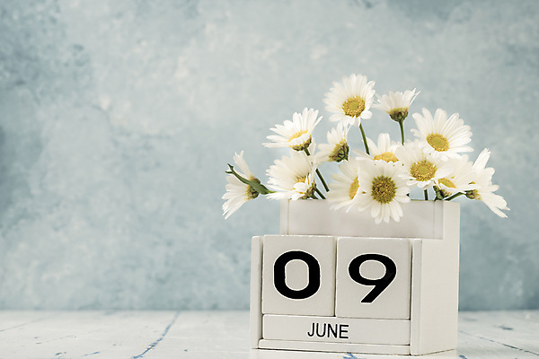 포토 JPG 해외이미지 식물 템플릿 계절 꽃 꽃다발 백그라운드 컨셉 탁자 사람없음 목재 여름 숫자 노란색 다이어리 보라색 블록 수확 달력 흰색 시간 9 날짜 계획 6월 연도 큐브 오브젝트 질감 복고 데이지 내추럴 월 옛날 오늘 조언 카피스페이스 해외포토 나무 문자 컬러 가구 농업 재료 사무용품 공백 파일형식 이미지허브