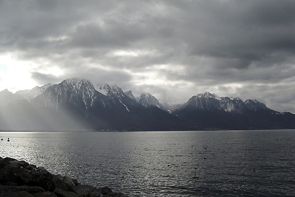 포토 JPG 해외이미지 식물 유럽 문화 호수 음료 여행 밭 농업 과일 건축양식 자연 하늘 포도 산 풍경 사람없음 빨간색 물 여름 파란색 농경지 마을 와인 침묵 프랑스 수확 가을 시골 다발 스위스 알프스 포도밭 숙성 양조장 해외포토 자연요소 계절 건축 나라 산업 컬러 주류 농장 소리 생태계 파일형식 이미지허브