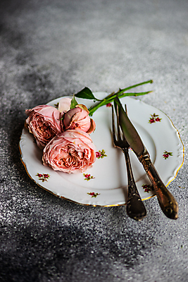 포토 JPG 해외이미지 식기 접시 포크 회색배경 사람없음 장미 나이프 컵받침 해외포토 꽃 백그라운드 회색 칼 받침대 파일형식 이미지허브