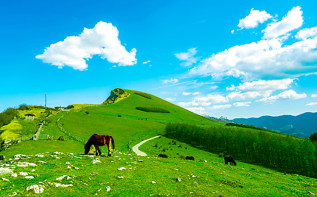 포토 JPG 해외이미지 나무 동물 구름 유럽 여행 백그라운드 밭 자연 하늘 산 거리 풍경 사람없음 야외 건물 초록색 여름 파란색 울타리 농장 농경지 갈색 평화 계곡 침묵 봄 목장 바위 흰색 시골 소나무 군중 방목 언덕 조랑말 천국 외양간 찰과상 해외포토 자연요소 식물 건축물 계절 나라 컬러 컨셉 농업 사람 담장 소리 말 축산업 상처 생태계 파일형식 이미지허브