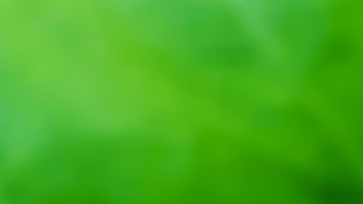 포토 JPG 해외이미지 템플릿 디자인 파도 백그라운드 잎 패턴 곡선 일러스트 자연 벽지 추상 미래 창조 미술 경사 사람없음 가로 초록색 빛 컬러풀 햇빛 우주 맑음 수중 공백 흐름 흰색 매끈함 소프트포커스 질감 보케 심플 부드러움 비네팅 깊이 블러 터키석 카피스페이스 해외일러스트 식물 선 바다 컬러 컨셉 무늬 날씨 문화예술 촬영기법 태양 감각 보석 생태계 파일형식 이미지허브