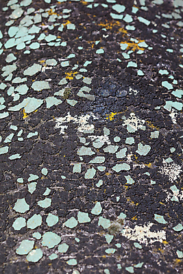 포토 JPG 해외이미지 도로 선 밭 교통시설 표면 날씨 사람 사람없음 야외 세로 노란색 금지 시간 그리기 틈 센터 보행로 아스팔트 고장 각도 붕괴 다리찢기 교외 깊이 루트 방법 노화 해외포토 길 컬러 교통 컨셉 농업 모션 시설 파일형식 이미지허브