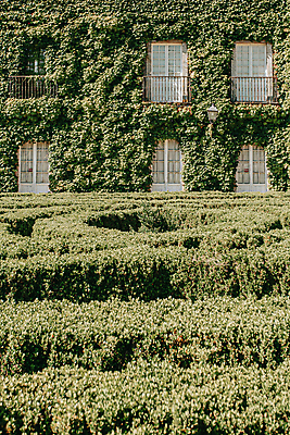 포토 JPG 해외이미지 라이프스타일 의자 창문 호텔 아파트 주택 아이디어 프레임 창조 사람없음 가로 반사 활발 성장 덮개 커튼 고급 비밀 A 포도나무 개발 생태학 숨기 해외포토 알파벳 교육 가구 컨셉 모션 숙소 건물 생활 뚜껑 과일나무 파일형식 이미지허브