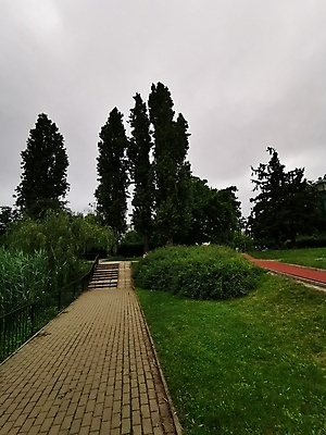 포토 JPG 해외이미지 나무 식물 구름 공원 꽃 길 얼굴 시계 여행 백그라운드 밭 벤치 가족 하늘 거리 주택 사랑 사람 사람없음 야외 건물 옆모습 초록색 노트북 울타리 강 사무실 탑 정원 기차 숲 큼 언덕 사인 온라인 선로 해외포토 자연요소 건축물 공공시설 감정 육상교통 뷰포인트 컬러 농업 의자 비즈니스 관계 대중교통 신체부위 전자제품 담장 크기 파일형식 이미지허브