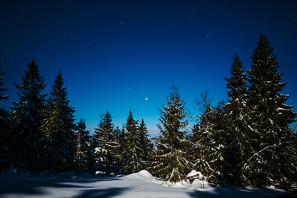 포토 JPG 해외이미지 나무 계절 별 과학 백그라운드 겨울 자연 하늘 휴가 불꽃 산 풍경 사람없음 파란색 우주 환경 검은색 어둠 꿈 안개 야간 숲 달빛 언덕 코스모스 서리 은하계 점성술 공상 마법 전나무 별빛 성운 내추럴 깊이 절정 가문비나무 해외포토 자연요소 식물 꽃 컬러 불 날씨 빛 달 생태계 파일형식 이미지허브