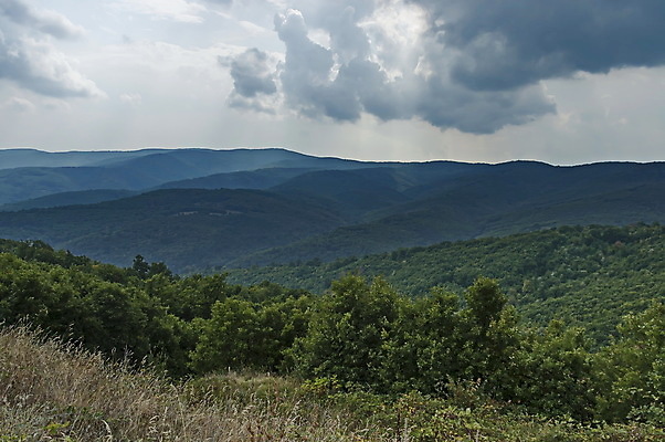 포토 JPG 해외이미지 나무 식물 구름 여행 낙엽 잎 자연 벽지 하늘 휴식 산 프레임 건조 건강 파노라마 경사 사람없음 야외 초록색 컬러풀 햇빛 여행객 맑음 놀람 산책 하이킹 가을 나뭇가지 숲 내추럴 불가리아 절정 해외포토 자연요소 계절 감정 컬러 컨셉 레저 날씨 촬영기법 표정 사람 태양 생태계 파일형식 남유럽 이미지허브