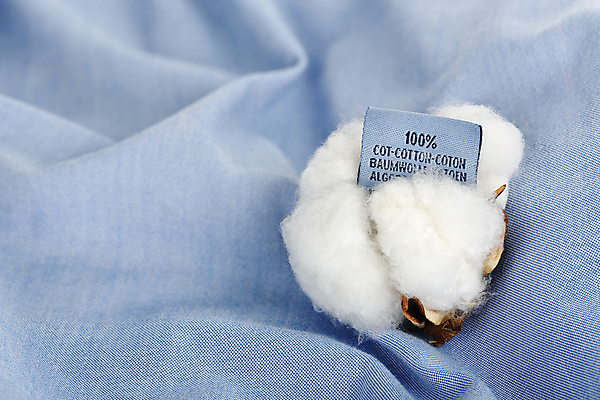 포토 JPG 해외이미지 셔츠 사람없음 라벨 면 오브젝트 파란배경 부드러움 성분 목화꽃 목화솜 해외포토 꽃 백그라운드 상의 프레임 파란색 감각 솜 파일형식 이미지허브