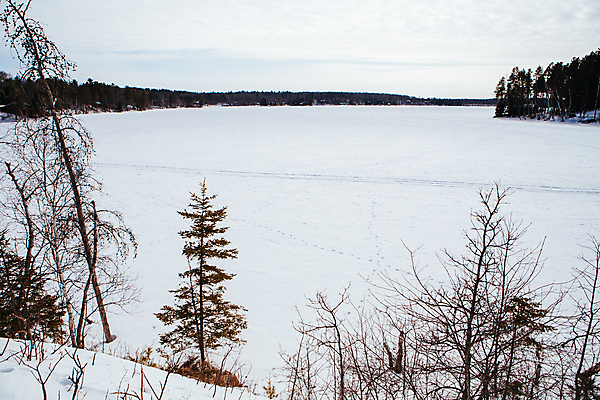 포토 JPG 해외이미지 나무 식물 호수 여행 잎 겨울 자연 풍경 사람없음 야외 물 강 냉동 얼음 미국 추위 사인 해외포토 자연요소 계절 북아메리카 생태계 파일형식 이미지허브