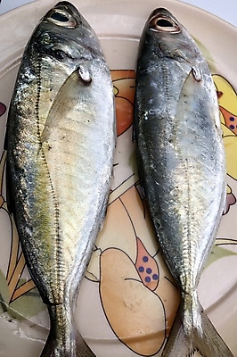 포토 JPG 해외이미지 동물 접시 음식 바다 다이어트 재료 낚시 건강 육류 어류 요리 사람없음 머리 세일 상점 주방 식당 얼음 식사 흰색 죽음 신선 잡기 시장 은색 먹기 해산물 준비 날것 지느러미 고등어 내추럴 고립 단백질 소금물 송어 청어 해외포토 자연요소 식기 컬러 식재료 모션 레저 신체부위 수중동물 영양소 파일형식 이미지허브