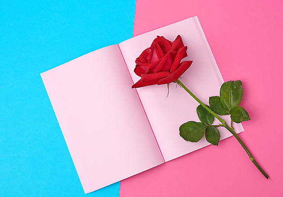 포토 JPG 해외이미지 꽃 사람없음 장미 공책 오브젝트 해외포토 식물 문구용품 파일형식 이미지허브