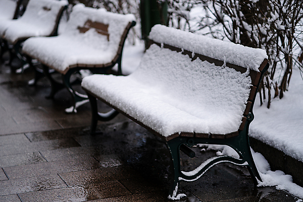 포토 JPG 해외이미지 나무 계절 공원 여행 가구 겨울 벤치 의자 자연 탁자 표면 날씨 사람없음 야외 목재 환경 냉동 얼음 추위 흰색 시골 도시 널 숲 책상 복고 서리 장면 내추럴 폭설 눈내림 해외포토 자연요소 식물 공공시설 컬러 생활용품 재료 눈_날씨 자연재해 생태계 파일형식 이미지허브
