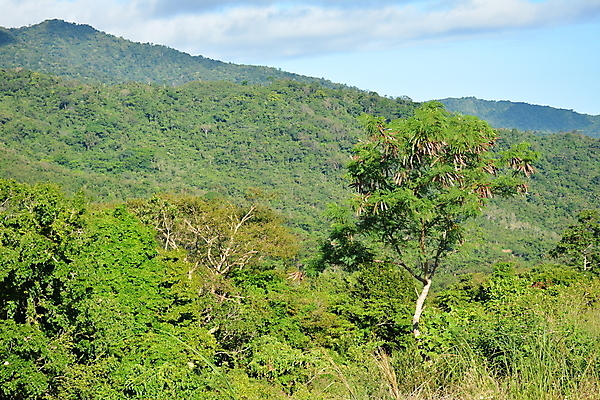 포토 JPG 해외이미지 구름 아시아 바다 여행 잎 자연 하늘 산 풍경 사람없음 야외 초록색 여름 시골 언덕 장면 오로라 내추럴 해외포토 자연요소 식물 계절 나라 컬러 자연현상 생태계 파일형식 이미지허브