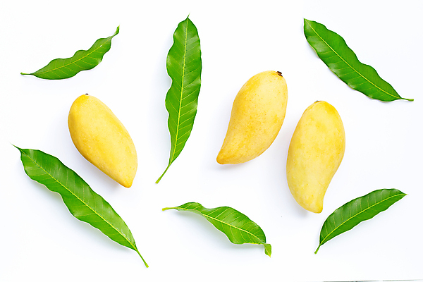 포토 JPG 해외이미지 잎 실내 사람없음 열대과일 흰배경 망고 해외포토 식물 백그라운드 과일 내부 흰색 파일형식 이미지허브