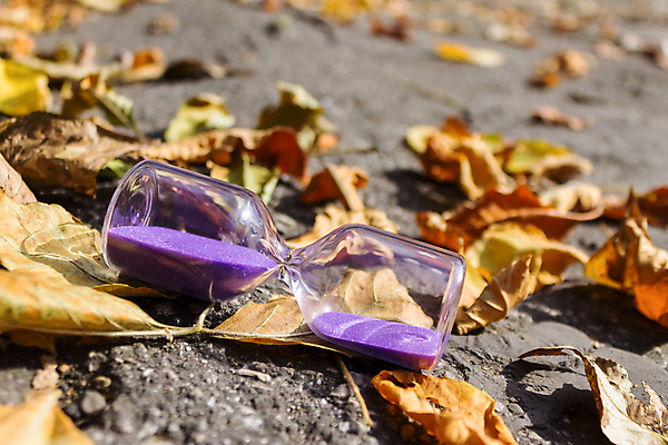 포토 JPG 해외이미지 식물 라이프스타일 공원 도로 모래 시계 백그라운드 잎 오렌지 자연 유리 불꽃 조명 거리 건조 따뜻함 잔디 사람없음 야외 빛 태양 숫자 반사 노란색 보라색 회색 가을 바위 도시 시간 뜨거움 소프트포커스 컨테이너 아스팔트 크리스탈 심볼 모래시계 오브젝트 함선 거짓말 실린더 해외포토 자연요소 문자 계절 공공시설 산업 길 컬러 배_교통 과일 교통시설 재질 불 촬영기법 생활 돌_바위 광석 생태계 파일형식 이미지허브