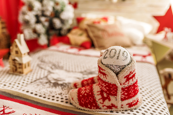 포토 JPG 해외이미지 나무 전통 디자인 계절 행복 백그라운드 크리스마스 겨울 공 자연 추상 휴가 전등 새로움 기념 사람없음 장식 빨간색 초록색 컬러풀 활발 기쁨 축하 소나무 황금 우아함 소프트포커스 12월 연도 보케 전나무 강렬 여의주 해외포토 식물 기념일 감정 컬러 컨셉 무늬 조명 촬영기법 날짜 생태계 파일형식 이미지허브