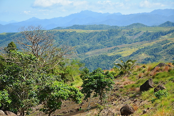 포토 JPG 해외이미지 구름 아시아 바다 여행 잎 자연 하늘 산 풍경 사람없음 야외 초록색 여름 시골 언덕 장면 오로라 내추럴 해외포토 자연요소 식물 계절 나라 컬러 자연현상 생태계 파일형식 이미지허브