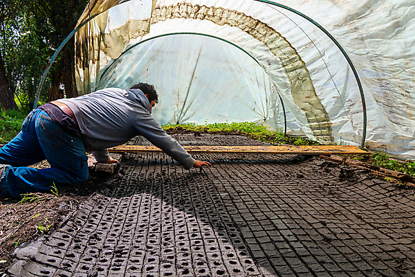 포토 JPG 해외이미지 식물 전통 남자 문화 지구 잎 밭 농업 자연 아침 씨앗 사람 풍경 사람없음 여름 농작물 농장 새싹 일출 환경 정원 흙 봄 수확 성장 시골 신선 작업 농부 유기농 원예 질감 조경 먼지 장면 땅바닥 모종 묘목 밭일 해외포토 주간 나무 직업 웰빙 계절 산업 바닥 취미 노을 생태계 파일형식 이미지허브