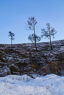 포토 JPG 해외이미지 나무 식물 계절 유럽 백그라운드 겨울 자연 날씨 풍경 사람없음 야외 목재 환경 냉동 검은색 추위 흰색 나뭇가지 시골 죽음 고독 숲 싱글 러시아 장면 내추럴 고립 폭설 혼자 눈내림 해외포토 감정 나라 컬러 재료 눈_날씨 자연재해 생태계 파일형식 이미지허브