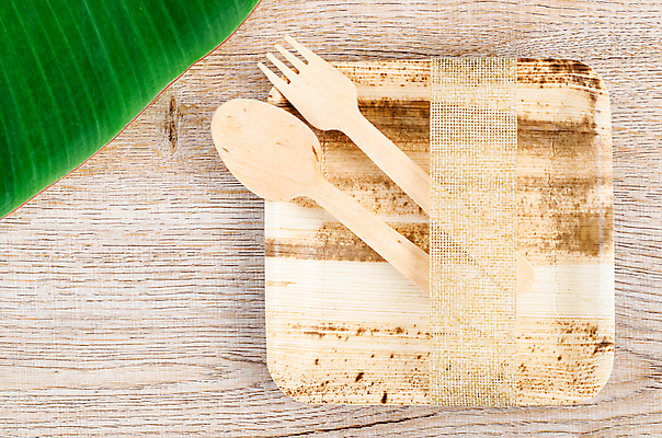 포토 JPG 해외이미지 잎 실내 사람없음 자연보호 에코 친환경 에코라이프 나무숟가락 나무접시 나무포크 친환경제품 제로웨이스트 나무배경 해외포토 식물 라이프스타일 접시 백그라운드 포크 자연 내부 환경 숟가락 그린캠페인 보호 사회이슈 파일형식 이미지허브