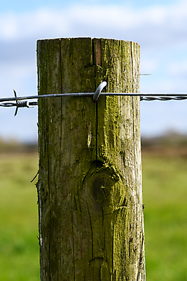 포토 JPG 해외이미지 농업 추상 잉글랜드 사람없음 야외 울타리 농장 금속 사진촬영 시골 보호 위험 철사 철조망 밭일 카피스페이스 해외포토 산업 컨셉 무늬 재질 영국 담장 촬영 공백 파일형식 이미지허브