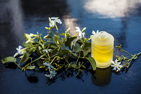 포토 JPG 해외이미지 꽃 백그라운드 자연 유리 휴식 건강 사람없음 치료 약 스파 마사지 약초 인도인 허브 집중 향수 향기 아로마테라피 테라피 에센스 추출 해외포토 외국인 식물 컨셉 의학 재질 동양인 뷰티 화장품 풀_식물 생태계 냄새 파일형식 이미지허브