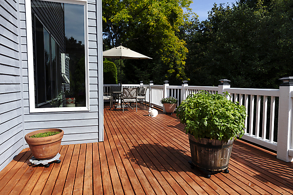 포토 JPG 해외이미지 나무 가구 건축양식 자연 주택 통 건강 요리 사람없음 야외 목재 정원 이탈리아 수확 신선 개 갑판 허브 유기농 바질 삼나무 채식주의자 해외포토 식물 웰빙 건축 유럽 생활용품 농업 배_교통 재료 포유류 건물 생태계 채식 파일형식 이미지허브