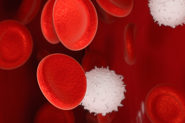 JPG 해외이미지 의학 세포 사람없음 빨간색 3D 적혈구 백혈구 해외포토 포토 컬러 디지털합성 혈구 파일형식 이미지허브