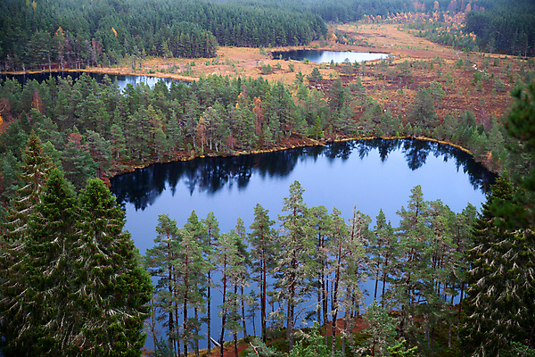 포토 JPG 해외이미지 나무 식물 계절 공원 유럽 호수 섬 여행 자연 하늘 아침 영국 산 풍경 사람없음 야외 물 파란색 반사 평화 침묵 안개 가을 시골 황무지 숲 큼 북쪽 내추럴 산악지대 민물 왕국 전국 스코틀랜드 해외포토 주간 자연요소 공공시설 나라 컬러 컨셉 날씨 소리 크기 방향 생태계 파일형식 이미지허브