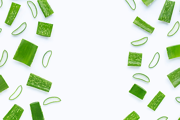 포토 JPG 해외이미지 스튜디오촬영 단면 실내 사람없음 하이앵글 흰배경 알로에 해외포토 식물 뷰포인트 백그라운드 내부 흰색 파일형식 이미지허브