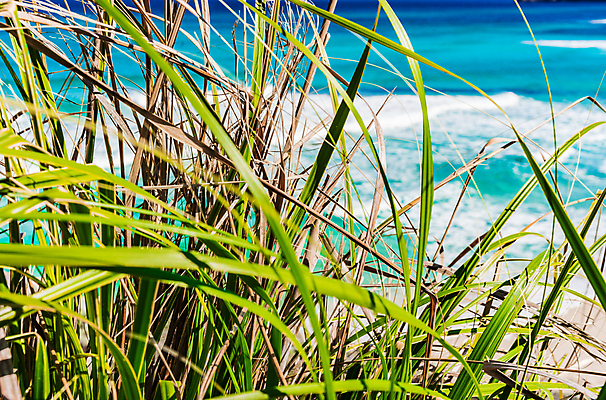 포토 JPG 해외이미지 식물 유럽 포스터 모래 파도 바다 섬 여행 백그라운드 자연 벽지 바람 날씨 사람없음 야외 물 파란색 관광지 환경 만 지중해 해외포토 자연요소 나라 컬러 생태계 파일형식 이미지허브