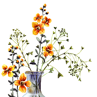 포토 JPG 해외이미지 꽃잎 잎 붓터치 수채화 사람없음 초록색 꽃병 번짐 해외포토 식물 꽃 컬러 파일형식 효과 이미지허브