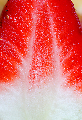 포토 JPG 해외이미지 음식 조각 백그라운드 다이어트 과일 부분 자연 딸기 추상 실내 건강 사람없음 빨간색 활발 신선 횡단보도 닫기 달콤 맛 먹기 유기농 반쪽 날것 슬라이스 건강식 내추럴 강렬 숙성 식용 영양분 채식주의자 해외포토 웰빙 컬러 컨셉 무늬 모션 내부 보행로 생태계 채식 파일형식 이미지허브