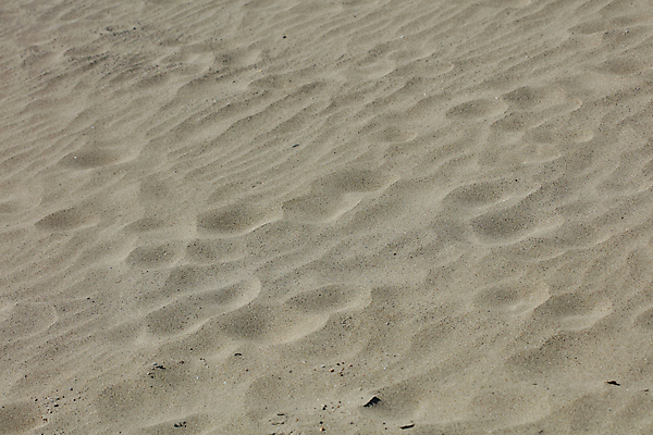 포토 JPG 해외이미지 계절 모래 바다 여행 자국 자연 하늘 표면 휴가 휴식 사랑 풍경 해변 사람없음 야외 여름 모래사장 햇빛 태양 평화 맑음 침묵 꿈 하트 서핑 인쇄 발자국 사인 휴양지 파라다이스 수평선 해외포토 자연요소 모양 감정 컨셉 날씨 소리 장소 수상스포츠 생태계 파일형식 이미지허브