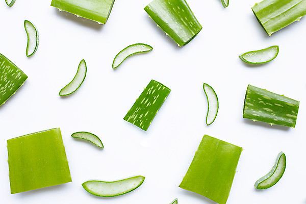 포토 JPG 해외이미지 스튜디오촬영 단면 실내 사람없음 하이앵글 흰배경 알로에 해외포토 식물 뷰포인트 백그라운드 내부 흰색 파일형식 이미지허브