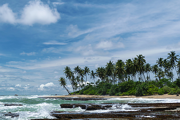 포토 JPG 해외이미지 나무 구름 아시아 모래 파도 바다 여행 자연 하늘 호텔 휴가 휴식 주택 손바닥 풍경 사람없음 야외 초록색 물 여름 파란색 모래사장 햇빛 태양 맑음 침묵 만 뜨거움 서핑 고급 휴양지 분무기 코코넛 내추럴 스리랑카 파라다이스 해외포토 자연요소 식물 손 계절 나라 컬러 컨셉 과일 숙소 날씨 건물 소리 장소 수상스포츠 생태계 파일형식 이미지허브