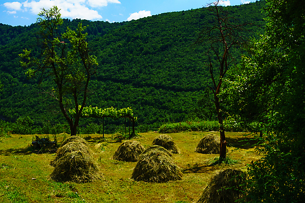 포토 JPG 해외이미지 유럽 도로 여행 자연 하늘 산 풍경 사람없음 야외 초록색 여름 파란색 계곡 시골 건초더미 북쪽 뭉치 내추럴 몬테네그로 발칸반도 해외포토 계절 나라 길 컬러 교통시설 건초 방향 생태계 파일형식 더미 이미지허브