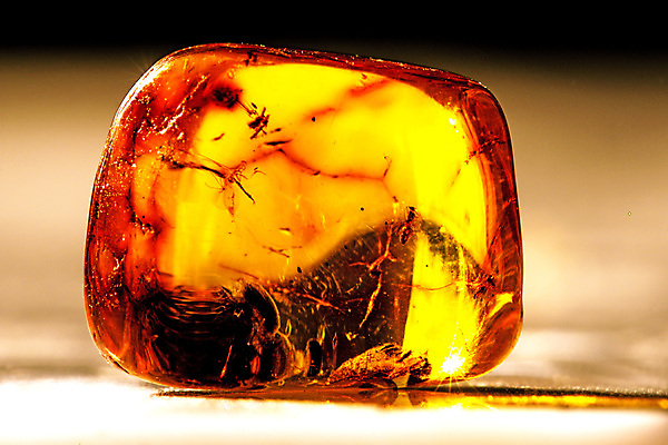 포토 JPG 해외이미지 자연 사람없음 빛 주황색 투명 보석 화석 앰버 해외포토 컬러 광석 생태계 파일형식 이미지허브