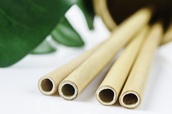 포토 JPG 해외이미지 잎 실내 근접촬영 사람없음 아웃포커스 자연보호 흰배경 에코 친환경 에코라이프 친환경제품 제로웨이스트 대나무빨대 해외포토 식물 라이프스타일 뷰포인트 백그라운드 자연 촬영기법 빨대 내부 환경 그린캠페인 흰색 보호 사회이슈 파일형식 이미지허브