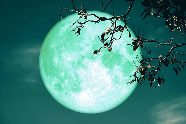 포토 JPG 해외이미지 나무 구름 꽃 실루엣 분홍색 과학 백그라운드 밭 자연 하늘 딸기 옥수수 사람없음 빨간색 빛 강 장미 우주 달러 정원 어둠 침묵 황혼 새벽 우유 달 시골 혈액 야간 저녁 숲 가득함 현상 해외포토 자연요소 식물 컬러 돈 농업 과일 유제품 곡류 촬영기법 소리 일몰 생태계 파일형식 이미지허브