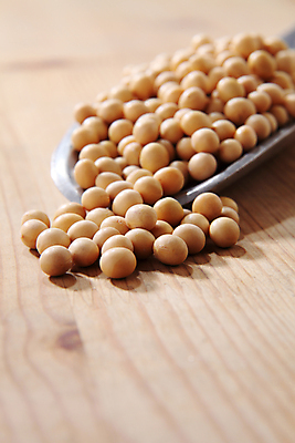 포토 JPG 해외이미지 아시아 음식 백그라운드 농업 채소 재료 콩 건조 건강 씨앗 사람없음 노란색 붓기 닫기 가득함 오브젝트 국자 유기농 날것 섬유 내추럴 단백질 대두 채식주의자 많음 해외포토 식물 웰빙 나라 산업 컬러 컨셉 모션 주방용품 곡류 직물 채식 영양소 파일형식 이미지허브