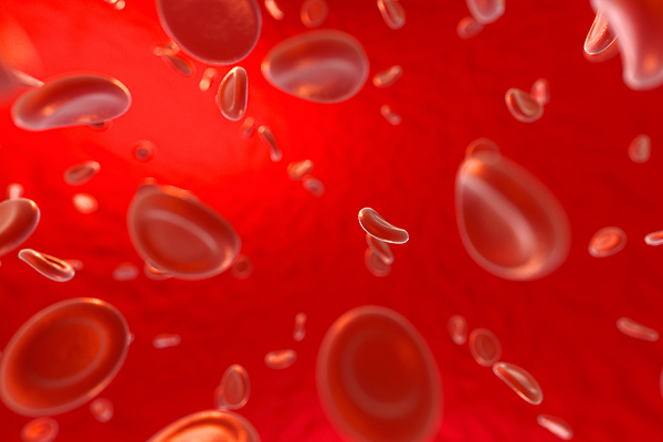 포토 JPG 해외이미지 세포 사람없음 빨간색 3D 적혈구 혈구 해외포토 컬러 디지털합성 혈관 파일형식 이미지허브