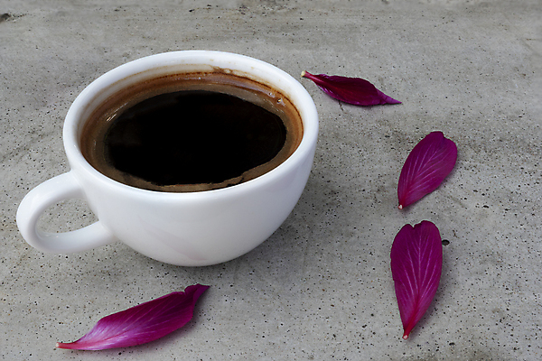 포토 JPG 해외이미지 꽃잎 꽃 커피 음료 음식 백그라운드 탁자 아침 사람없음 목재 컵 가로 갈색 검은색 침묵 거품 카페 머그컵 흰색 신선 뜨거움 도자기 액체 맛 아침식사 컵받침 오브젝트 상쾌 질감 아로마 슛 카푸치노 에스프레소 내추럴 백자 카페인 해외포토 주간 나무 식물 식기 감정 컬러 가구 컨셉 재료 상점 식사 소리 받침대 파일형식 이미지허브