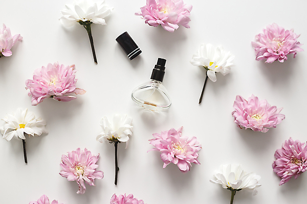 포토 JPG 해외이미지 여자 꽃 분홍색 백그라운드 꽃무늬 재료 유리 표면 국화 사람없음 장미 유행 우주 봄 화장품 벚꽃 흰색 신선 항아리 화려 고급 우아함 상품 정상 컨테이너 향수 오브젝트 향기 아로마 분무기 향 내추럴 고립 돌봄 에센스 카피스페이스 해외포토 식물 계절 산업 컬러 컨셉 무늬 모션 재질 사람 뷰티 공백 도자기 냄새 파일형식 이미지허브