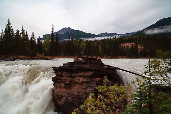 포토 JPG 해외이미지 나무 공원 여행 캐나다 자국 자연 산 풍경 사람없음 야외 목재 초록색 물 여름 파란색 강 환경 폭포 하이킹 바위 개울 숲 내추럴 전국 로키산맥 해외포토 자연요소 식물 계절 공공시설 컬러 북아메리카 재료 레저 돌_바위 생태계 파일형식 이미지허브
